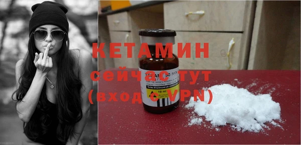 прущие грибы Дмитровск