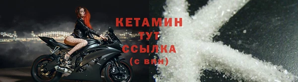 прущие грибы Дмитровск