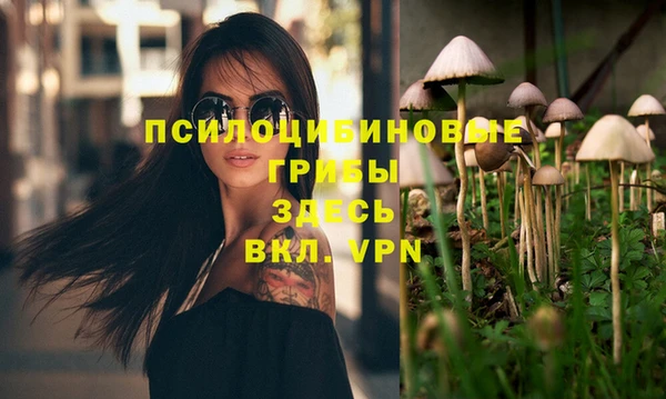 альфа пвп Дмитриев