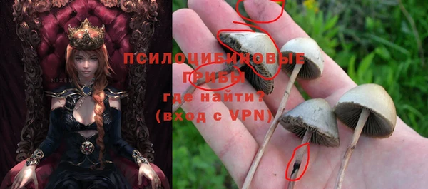 альфа пвп Дмитриев