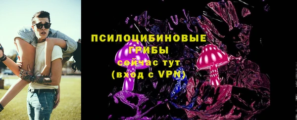 прущие грибы Дмитровск