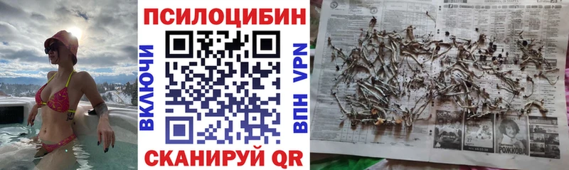 Купить  Чудово  Псилоцибиновые грибы мухоморы 